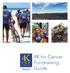 4K for Cancer Fundraising Guide