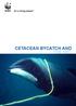 CETACEAN BYCATCH AND THE IWC