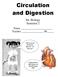 Circulation and Digestion