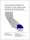 Community Indicators of Alcohol & Drug Abuse Risk San Bernardino County 2004