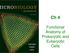 Ch 4. Functional Anatomy of Prokaryotic and Eukaryotic Cells