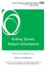 Kidney Stones Patient Information