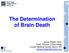 The Determination of Brain Death. James Zisfein, M.D. Chief, Division of Neurology Lincoln Medical Center, Bronx, NY