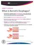 What Is Barrett s Esophagus?