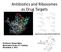Antibiotics and Ribosomes as Drug Targets