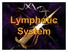 Lymphatic System. The most important functions of the lymphatic system are: Maintenance of fluid balance in the internal environment