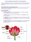 SEXUAL REPRODUCTION IN PLANTS WITH SEEDS