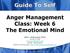 Anger Management Class: Week 6 The Emotional Mind