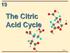 The Citric Acid Cycle 19-1