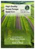 High Quality Grass Forage Seed from