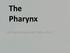 The Pharynx. Dr. Nabil Khouri MD. MSc, Ph.D