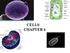 All organisms are made of cells (cells are the basic units of life) Cell structure is highly correlated to cellular function