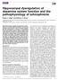 Hippocampal dysregulation of dopamine system function and the pathophysiology of schizophrenia