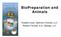 BioPreparation and Animals. Russell Louie, Optimum Choices, LLC Roland Thomas, N.D., BioAge, LLC