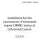 Guidelines for the assessment of mismatch repair (MMR) status in Colorectal Cancer