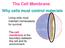 The Cell Membrane. Why cells must control materials. Living cells must maintain homeostasis for survival.