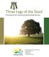 Three Legs of the Stool A Framework for Community Mental Health Services