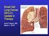 Small Cell Lung Cancer (SCLC): Update in Therapy. Anne Traynor, MD March 1, 2010