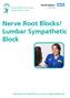 Nerve Root Blocks/ Lumbar Sympathetic Block