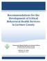 Recommendations for the Development of Critical Behavioral Health Services in Larimer County