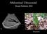 Abdominal Ultrasound. Diane Hallinen, MD. Bloodroot