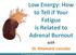 Low Energy: How to Tell if Your Fatigue is Related to Adrenal Burnout