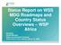 Status Report on WSS MDG Roadmaps and Country Status Overviews WSP Africa