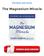 [PDF] The Magnesium Miracle