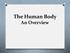 The Human Body An Overview