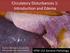 Circulatory Disturbances 1: Introduction and Edema