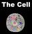 Cell Biology. A discipline of biology: 1. Cell structure 2. Cellular processes 3. Cell division