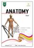 Introduction to Anatomy. Dr. Maher Hadidi. Tala Ar ar. Mar/10th/2013