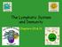 The Lymphatic System and Immunity. Chapters 20 & 21