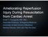 Ameliorating Reperfusion Injury During Resuscitation from Cardiac Arrest