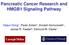 Pancreatic Cancer Research and HMGB1 Signaling Pathway