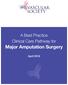 A Best Practice Clinical Care Pathway for Major Amputation Surgery
