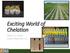 Exciting World of Chelation SARAH E. H. LOVAS LOVAS CONSULTING, LLC
