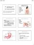 Gastrointestinal Tract. Gastrointestinal Tract. Gastric Secretion. Stomach. Bio217 Sp14 Unit 9. Gastrointestinal Tract (GI Tract, )