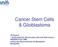 Cancer Stem Cells & Glioblastoma