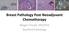 Breast Pathology Post-Neoadjuvant Chemotherapy. Megan Troxell, MD/PhD Stanford Pathology