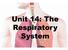 Unit 14: The Respiratory System