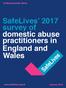 Ending domestic abuse. SafeLives 2017 survey of domestic abuse practitioners in England and Wales