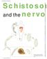 Schistosom. and the nervo PRACTICAL NEUROLOGY