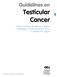 Guidelines on Testicular Cancer