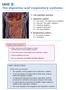 Unit 3: The digestive and respiratory systems