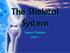 The Skeletal System. Support Systems Unit 2