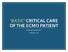 BASIC CRITICAL CARE OF THE PATIENT. Hannelisa Callisen PA C February 2017