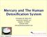 Mercury and The Human Detoxification System