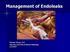 Management of Endoleaks. Michael Meuse, M.D Vascular and Interventional Radiology 12/14/09
