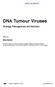 DNA Tumour Viruses. Virology, Pathogenesis and Vaccines. caister.com/dnatv2. Sally Roberts. Edited by: